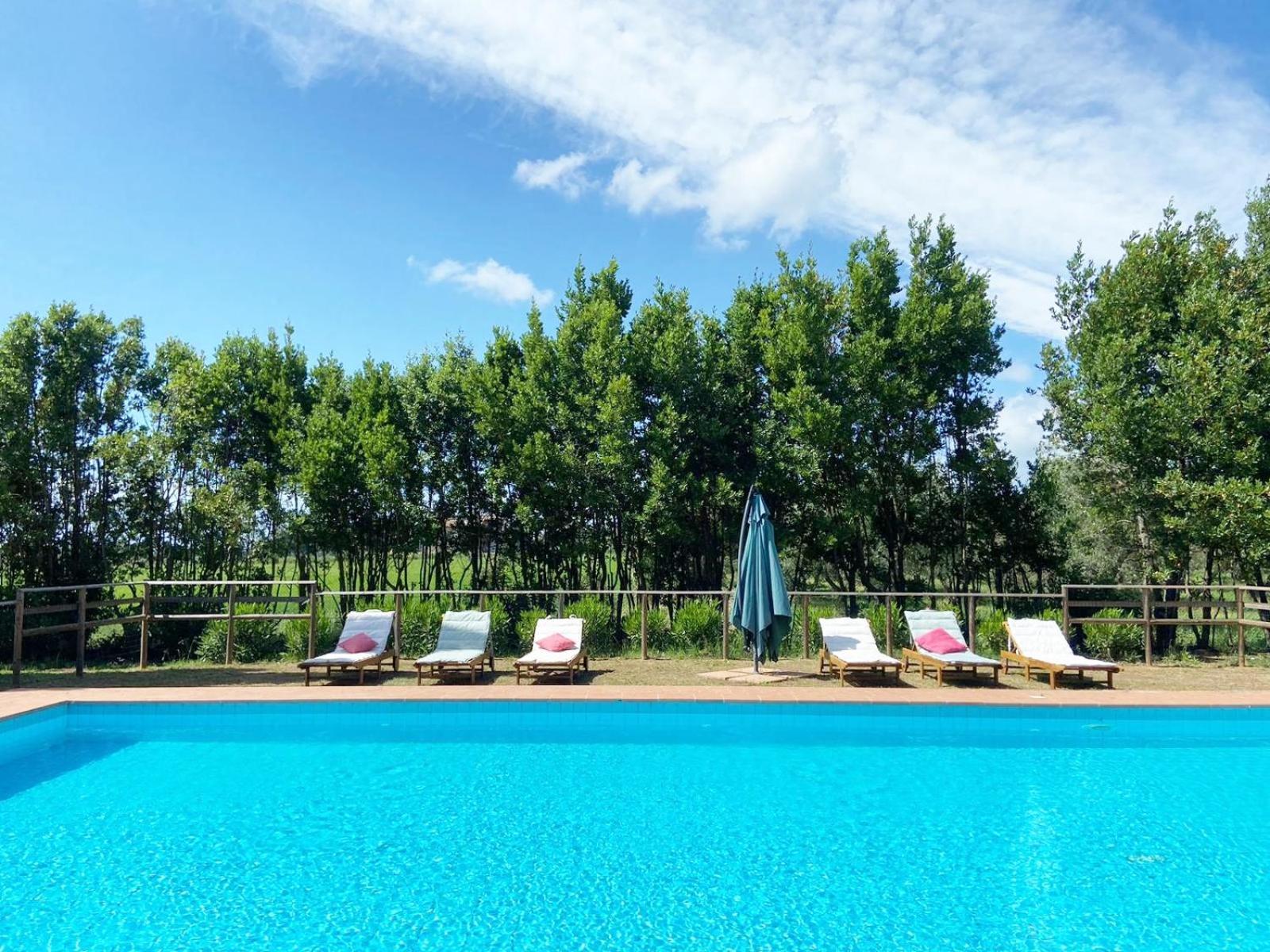 Апартаменти Relais Casale Il Poggetto - Oleandri By Zoom In Earth Чечина Екстер'єр фото